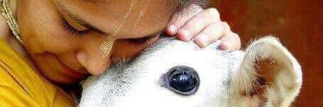 SamiNellai's profile banner image