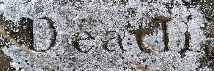 Louvain Rees ⚰️ banner