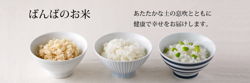 banba_rice's profile banner image