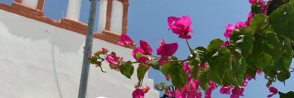 KatieNowa Profile Banner