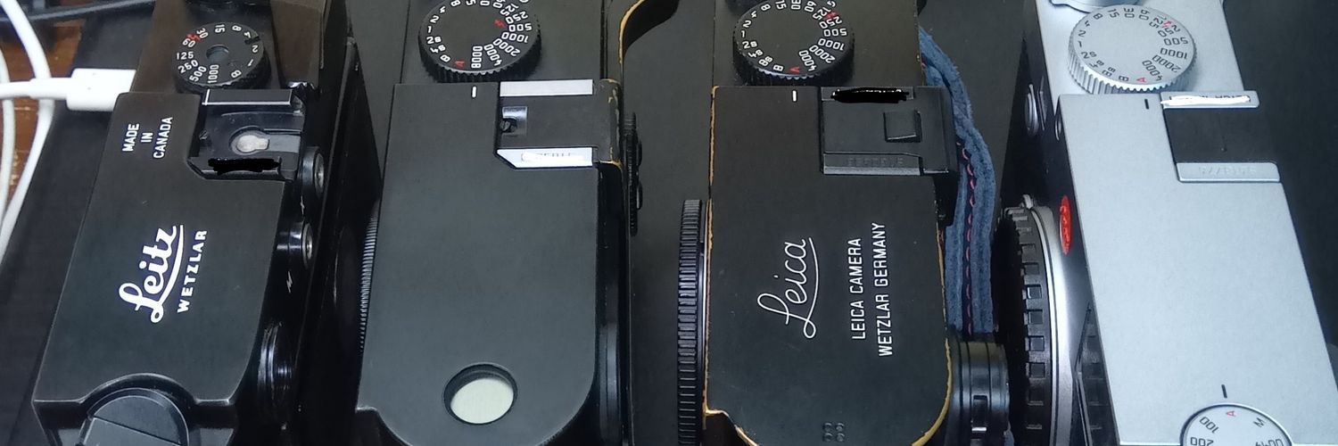 芽璃瑠(メリル) banner