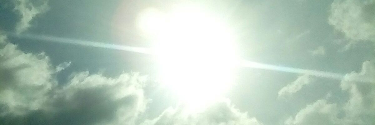 reid_tree's profile banner image