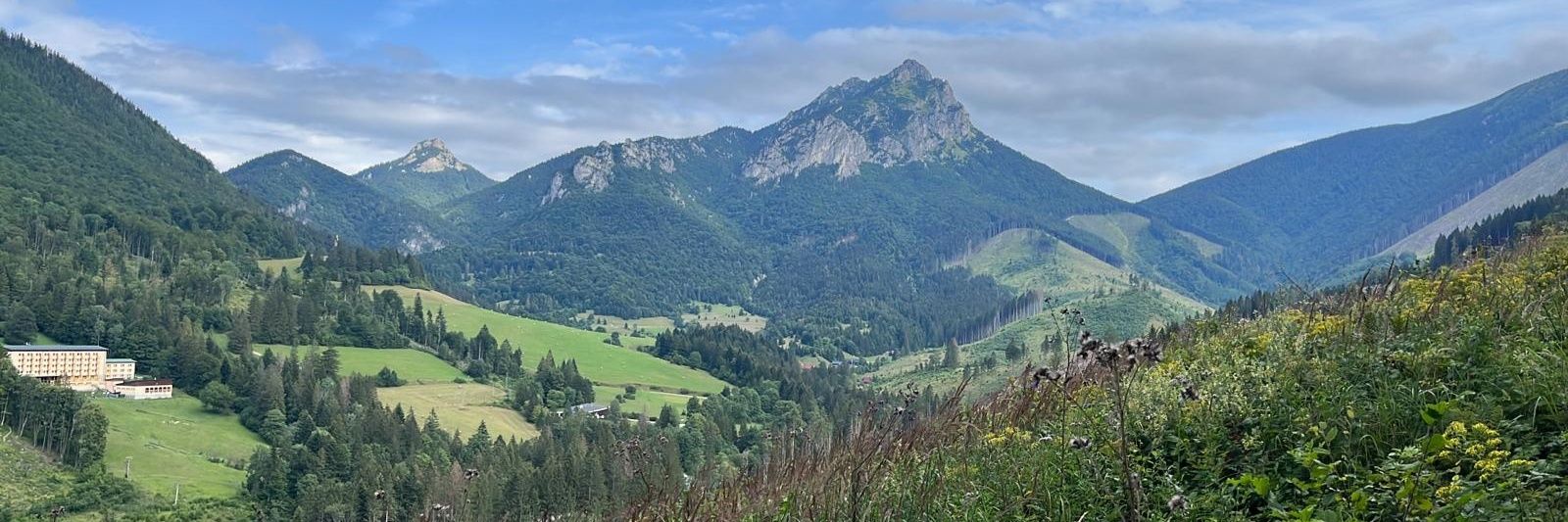 Maria Muchova banner