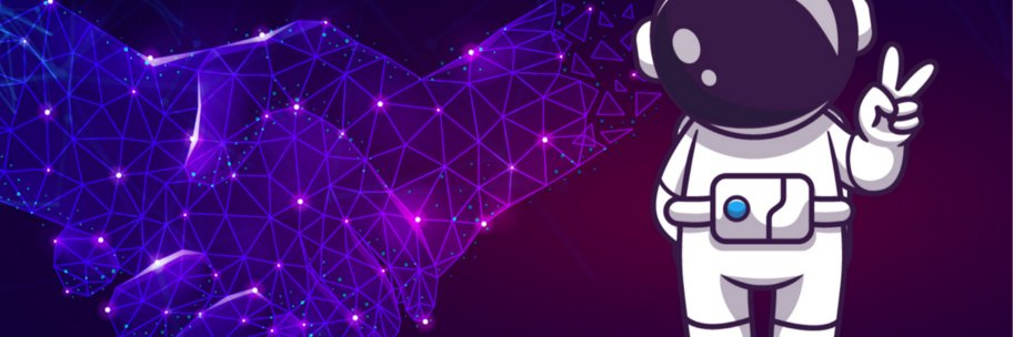 CryptoNaumi's profile banner image