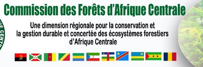 COMIFAC - Commission des Forêts d'Afrique Centrale banner