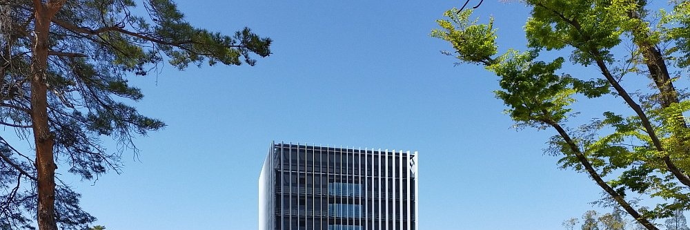 ポテト🤡 banner