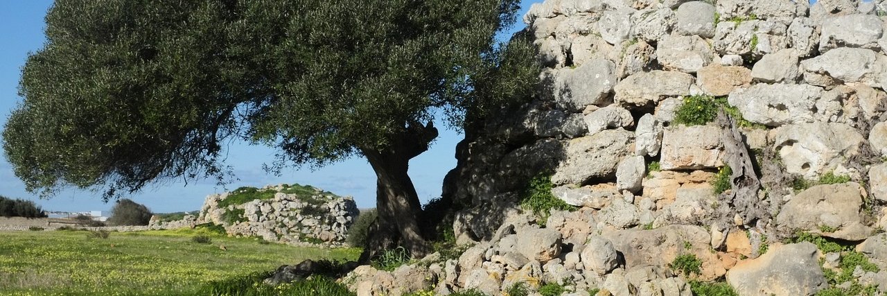AccióCulturalMenorca banner