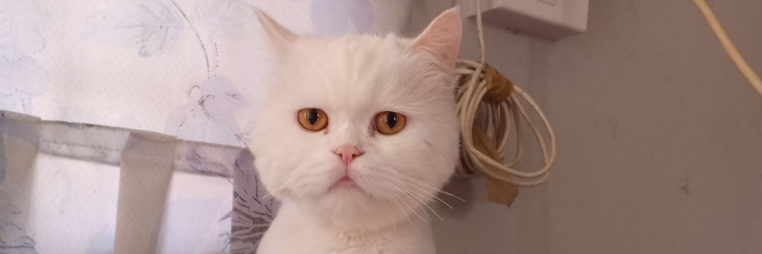 cookie_om's profile banner image