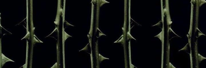 𝔎𝔢𝔯𝔯𝔦 𖦹⭒°｡⋆ banner