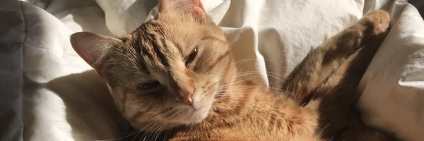 evawasney Profile Banner