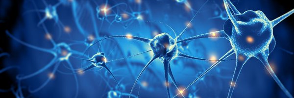 LLMcMahonNeuro Profile Banner