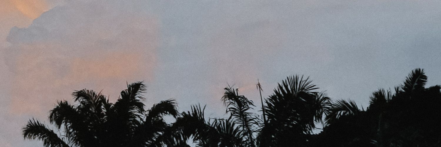 ___lussv's profile banner image