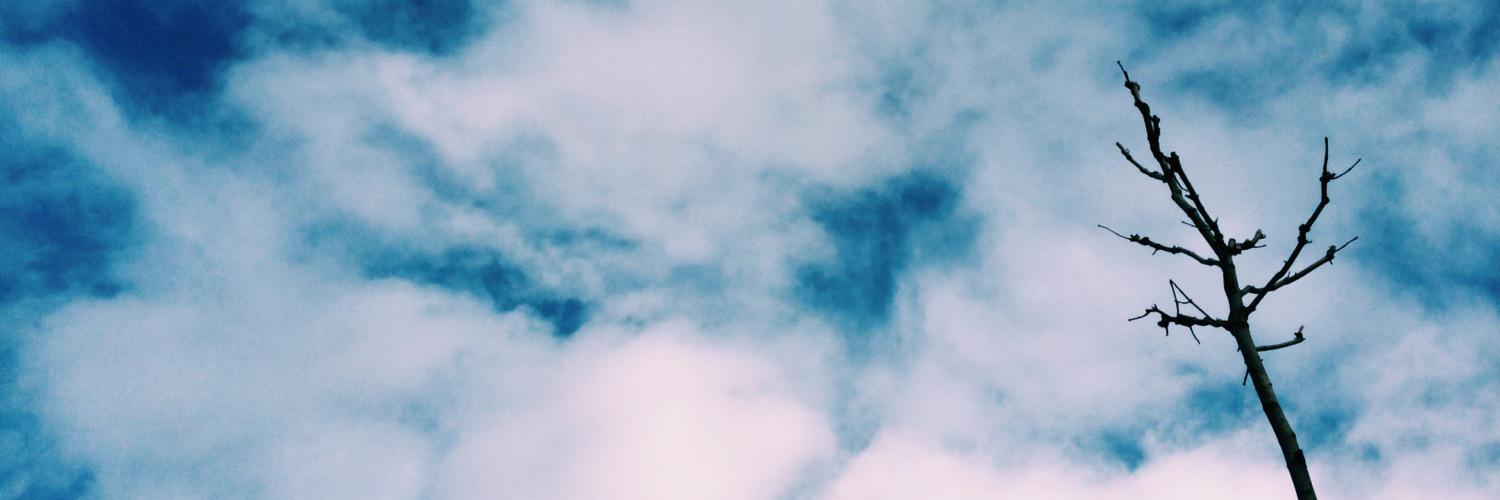 tgbyrdkl's profile banner image