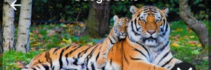 Donna Bishop 🤗 banner