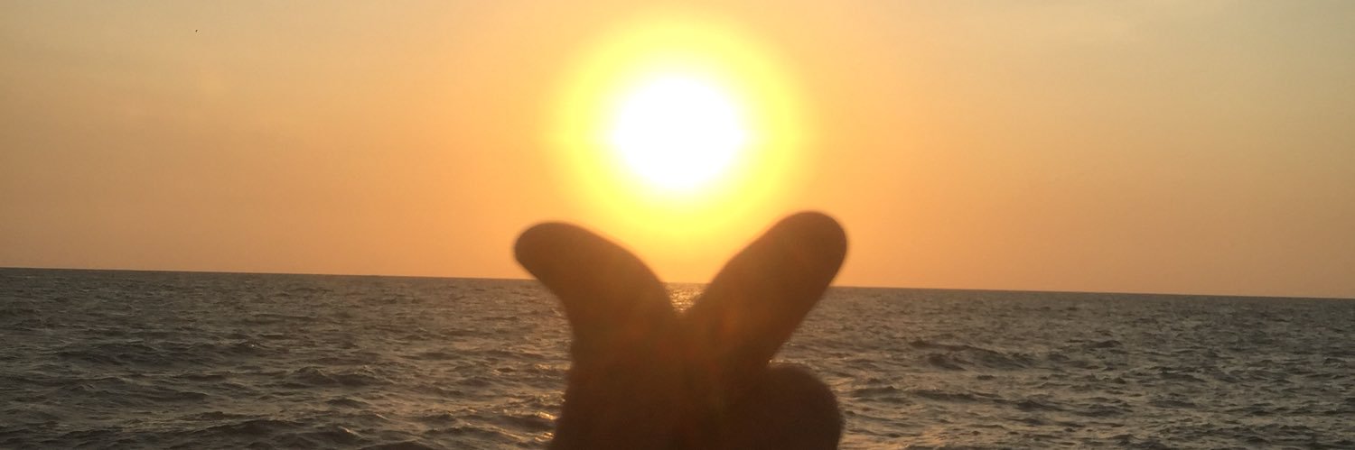 rinihrdynti's profile banner image