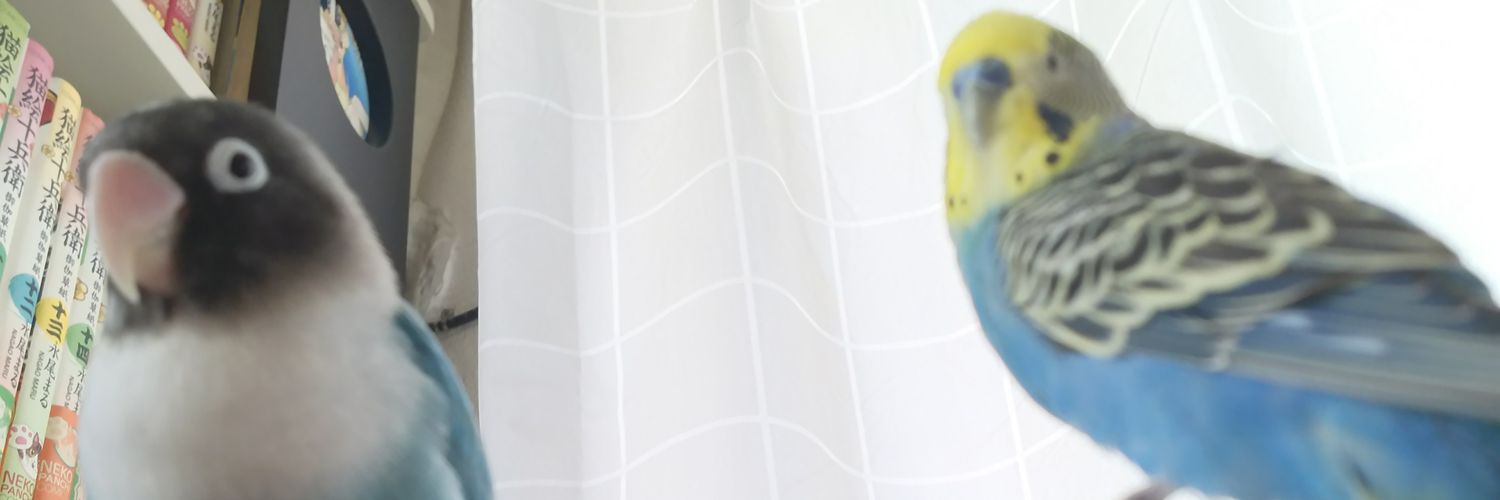 ucchili's profile banner image