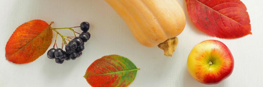 Krajowa Unia Producentów Soków banner