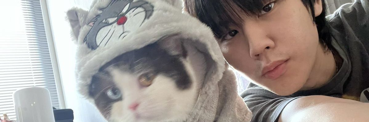 cece ˖ ݁𖥔 ݁˖ banner