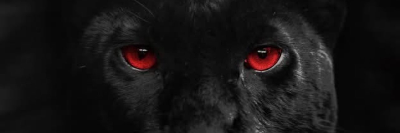 Aaron Fitzpatrick banner