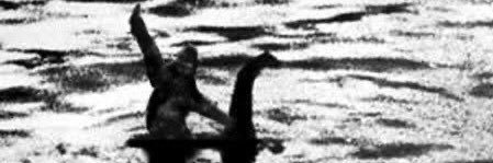 Cactaceae Jackson 🌵 banner