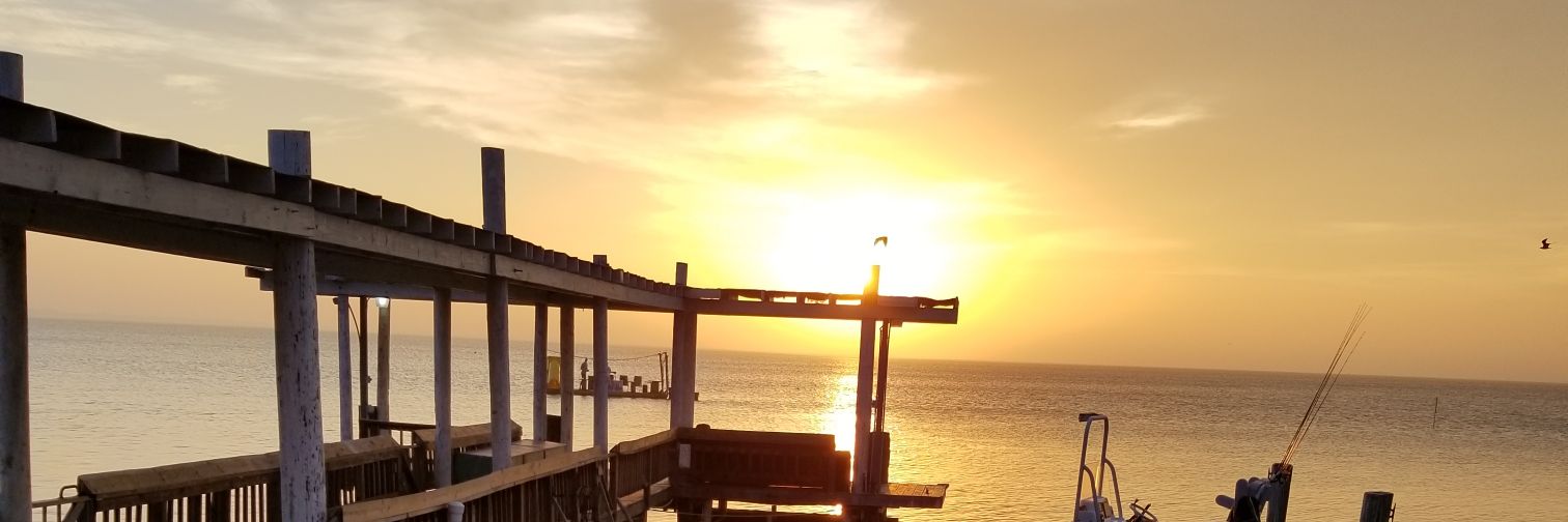 Helgard Müller banner