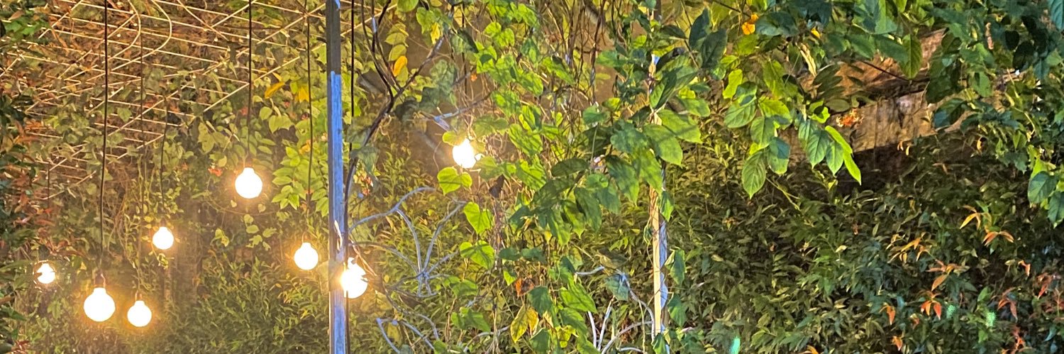 Kindaput's profile banner image