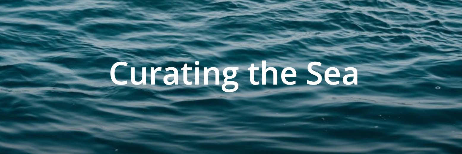 Curating the Sea's banner