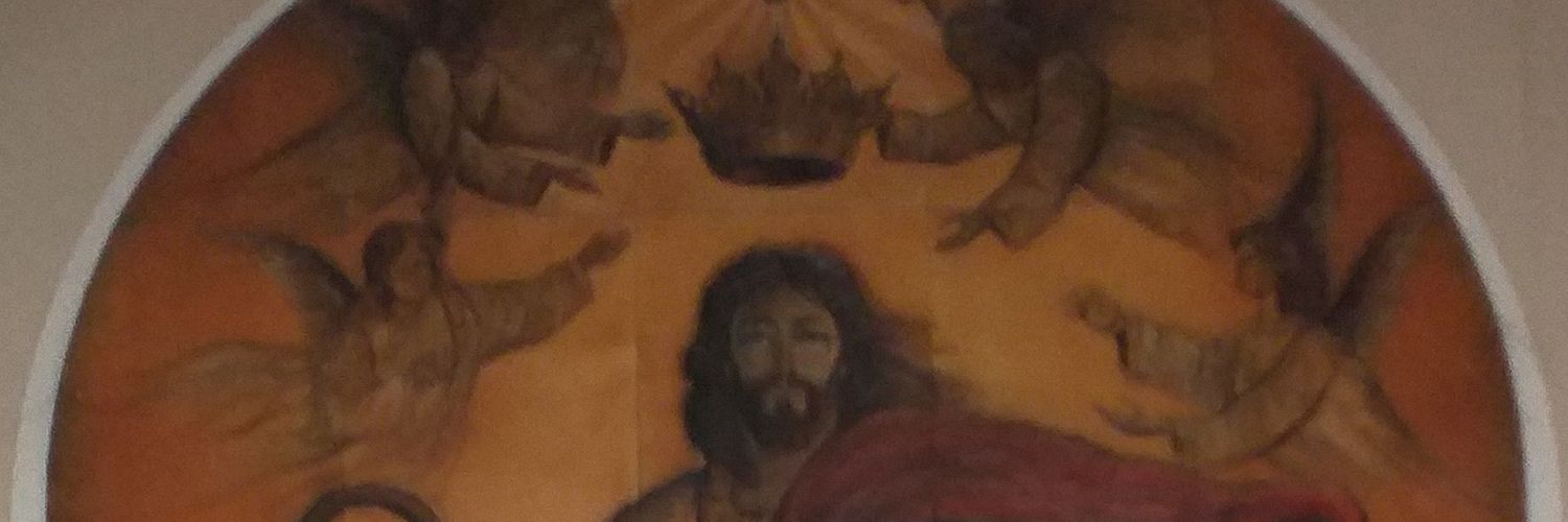Luanlaurito's profile banner image