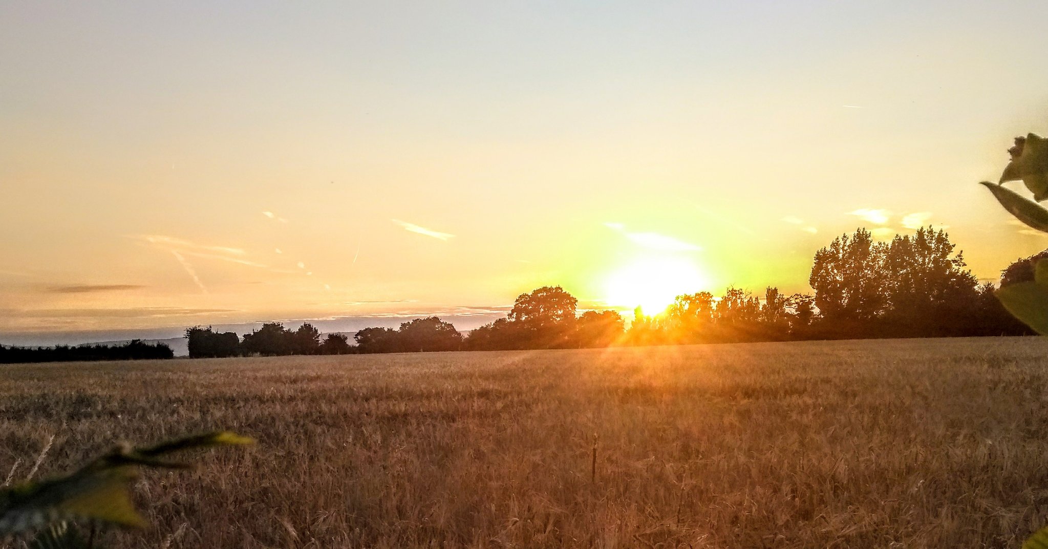 ChristoffRobbo's banner
