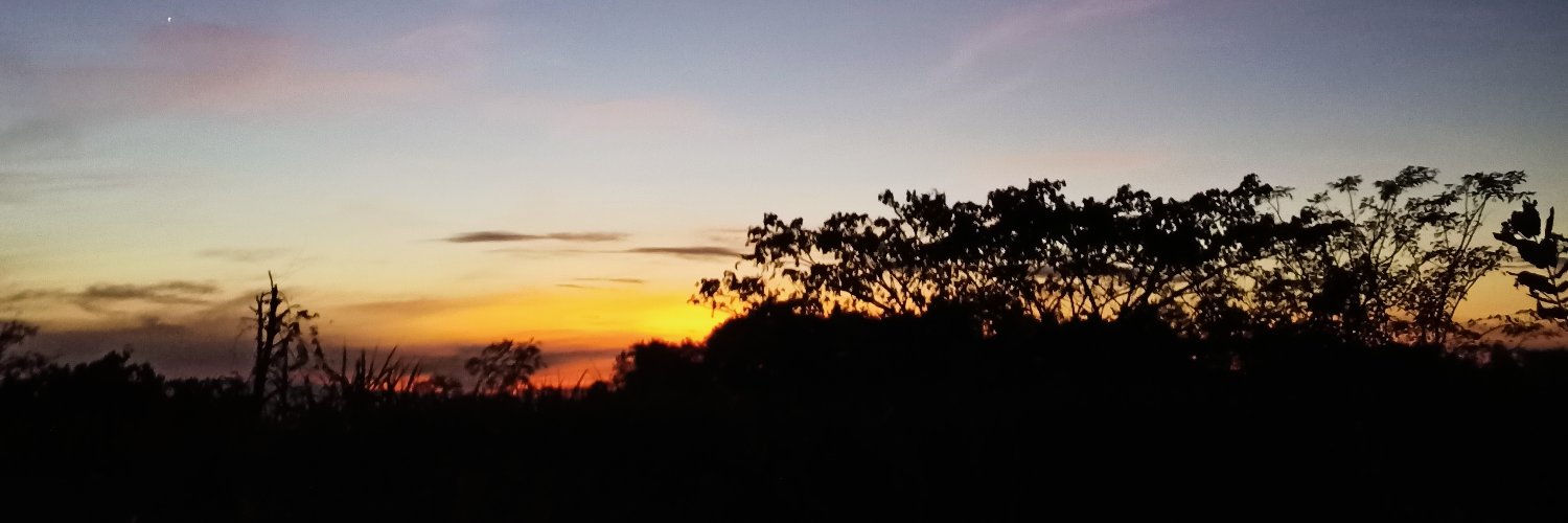 Mai🍀 banner