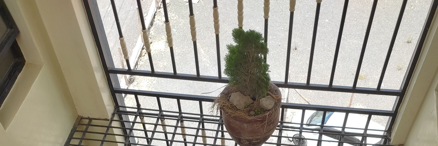 wendy's Aftermath banner