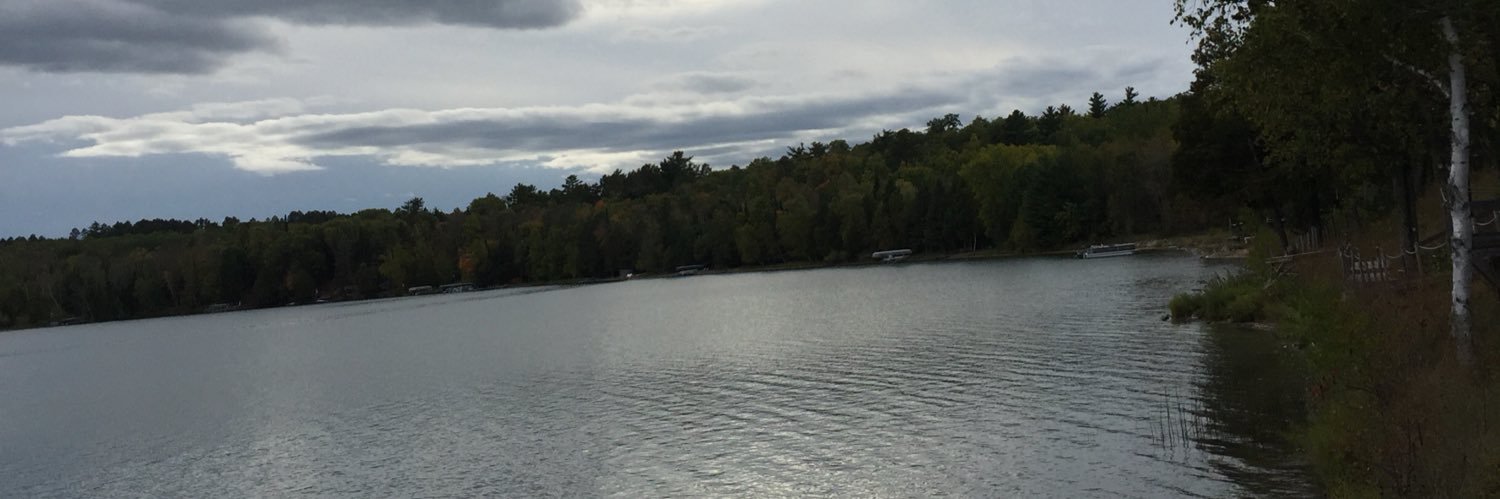 JFenix310's profile banner image