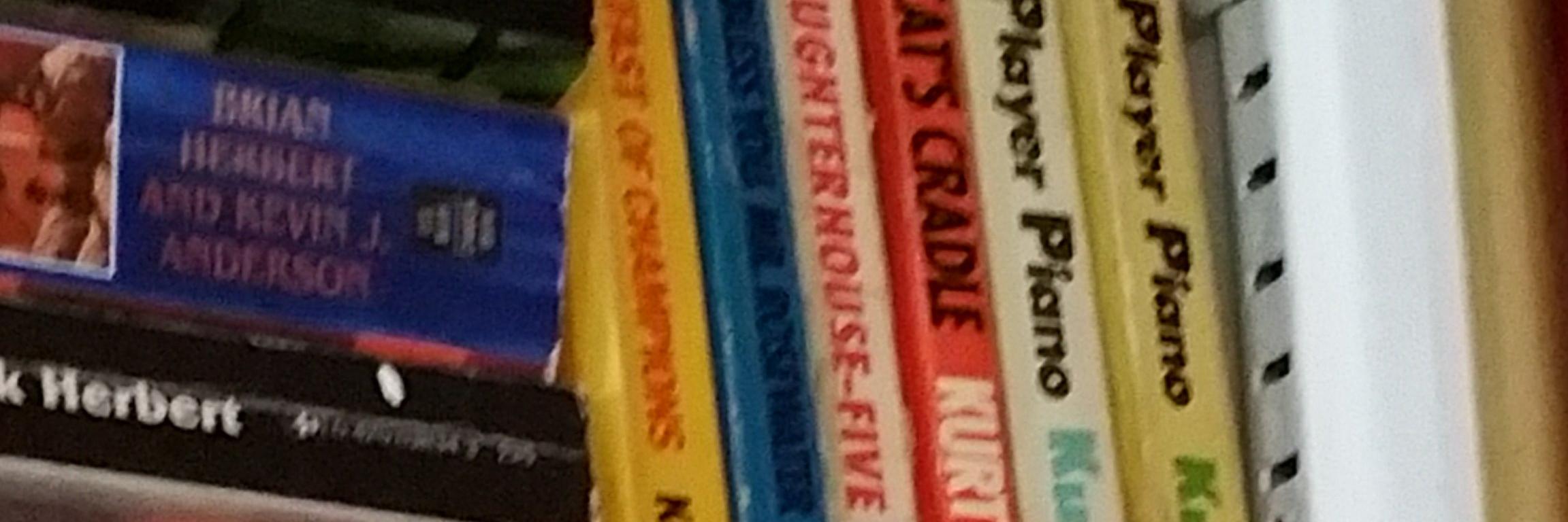 SteveLacksFocus banner