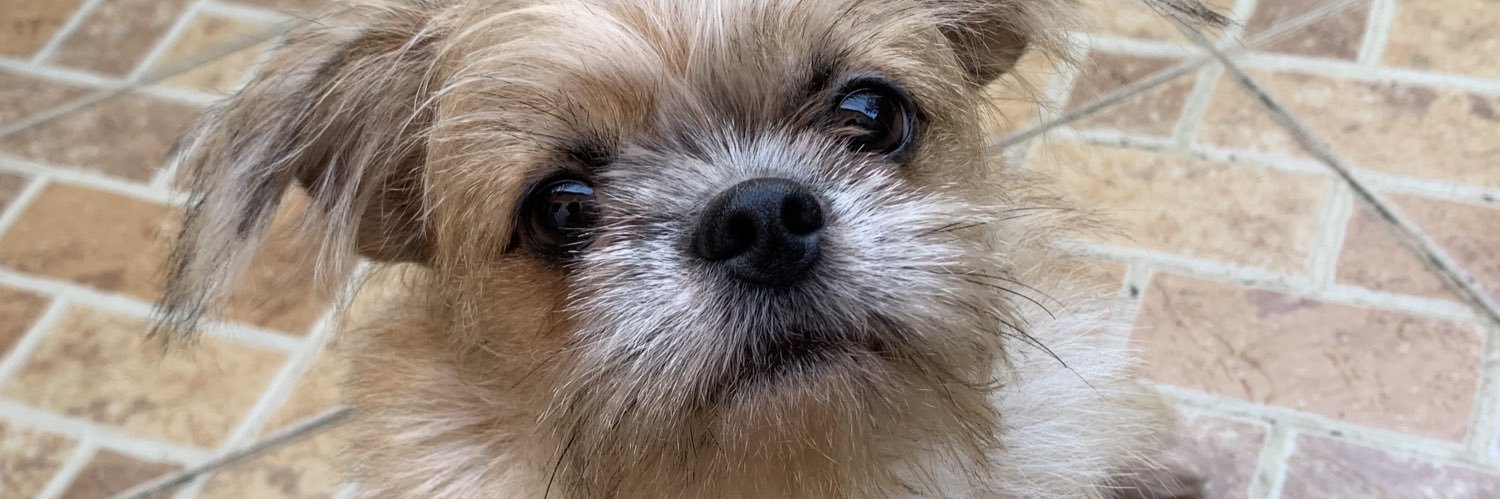 cececyrelle's profile banner image