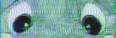 Daniel M. Freed banner