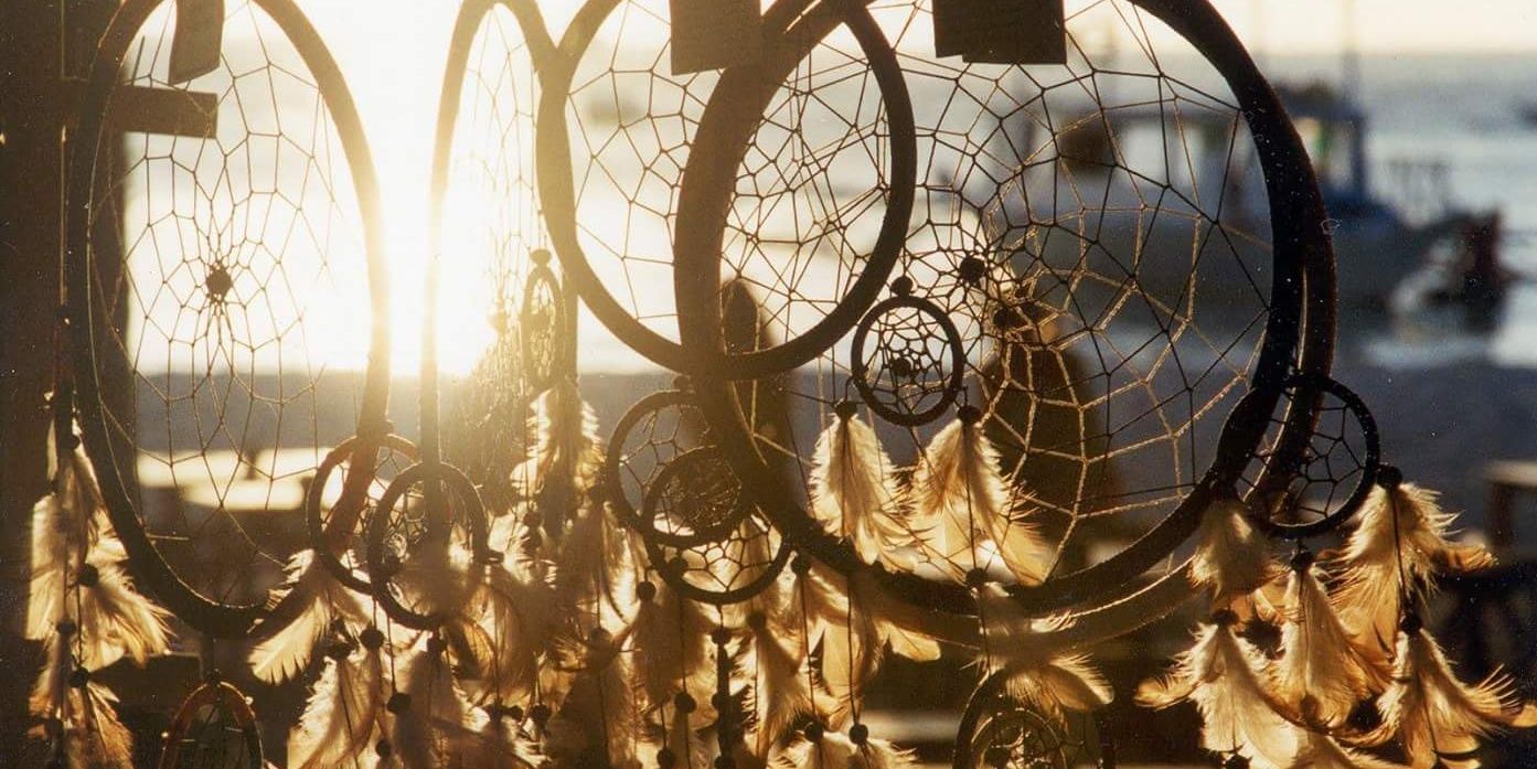 Ana Fernandez 🌷 banner