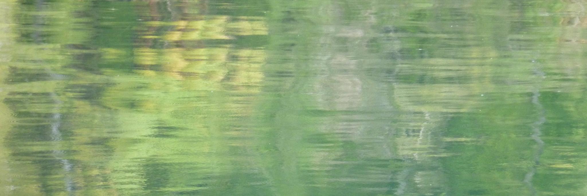 Katrin Hammerschmidt banner