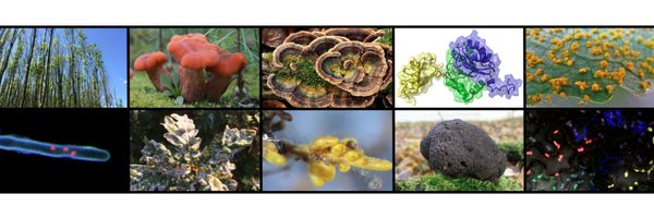 UMR_IAM Profile Banner