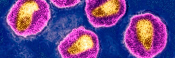 KateDicker4 Profile Banner