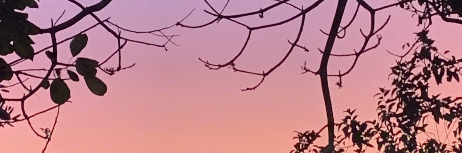 jovemMedAp's profile banner image