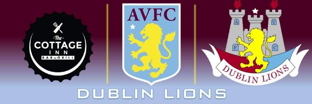 AVFC Dublin Lions banner