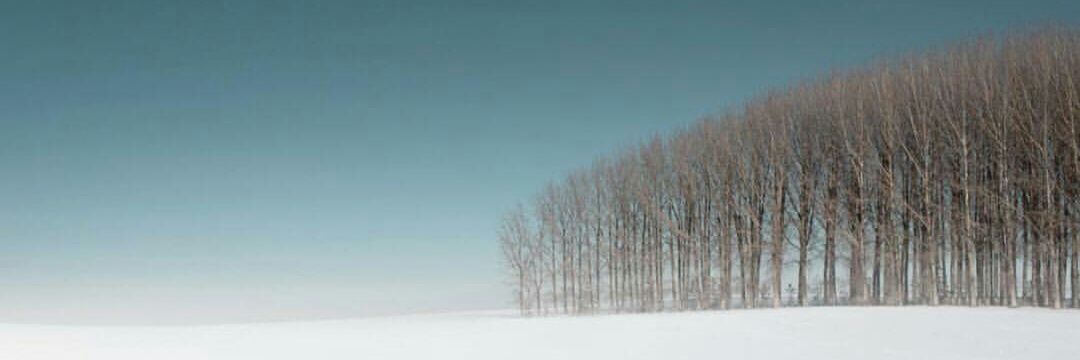 Angela ꯩꯪꯦꯣꯁꯁꯦꯩ banner