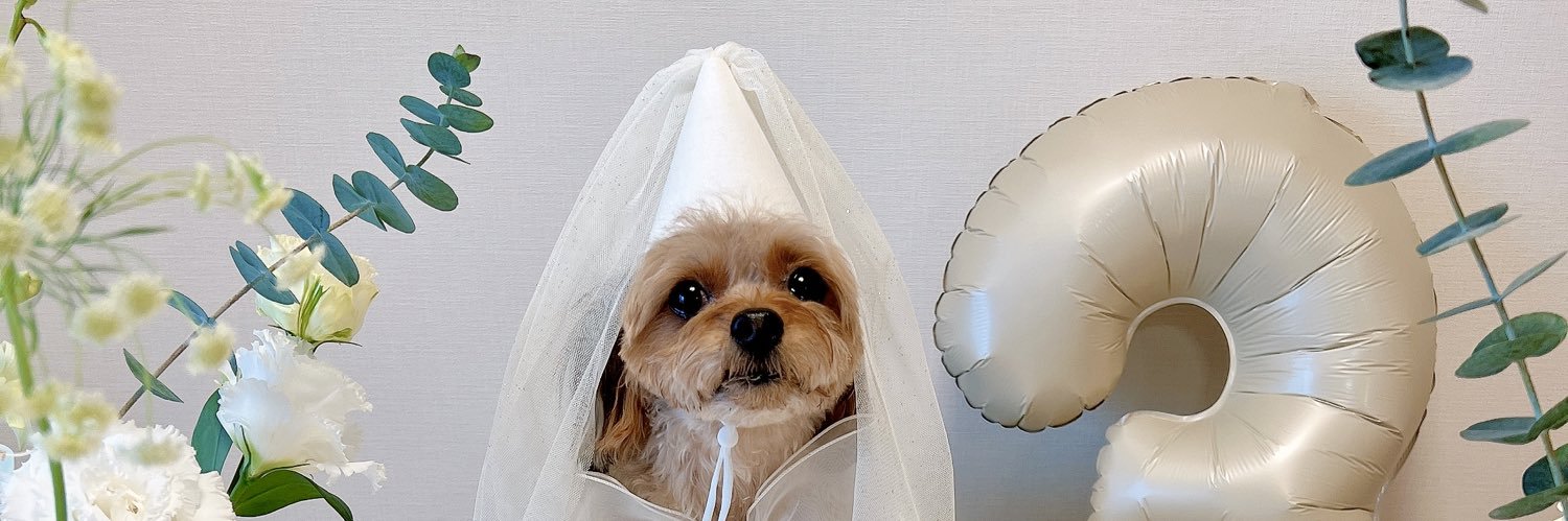 なつい｜ママ×個人開発 banner