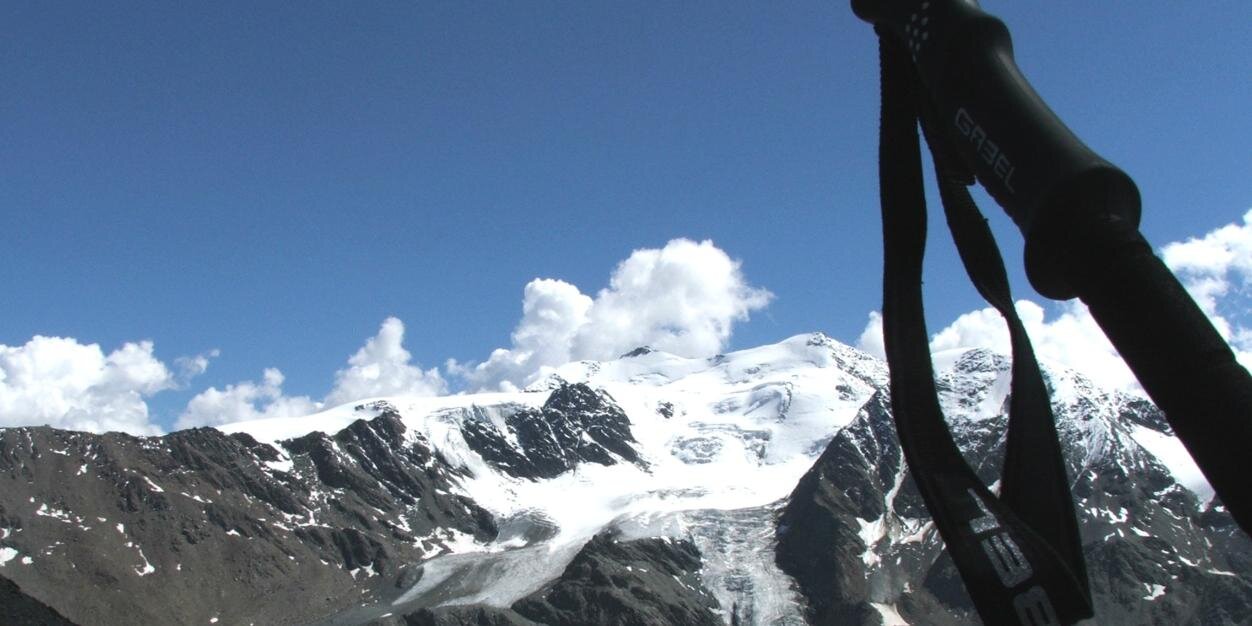 Francesco Gerli banner