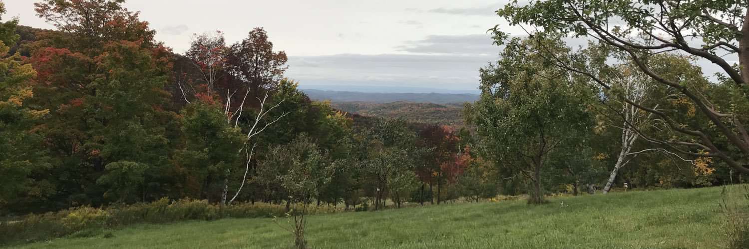 Principal O’Donnell banner