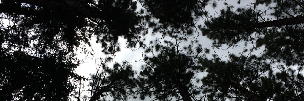 SteveJessome's profile banner image