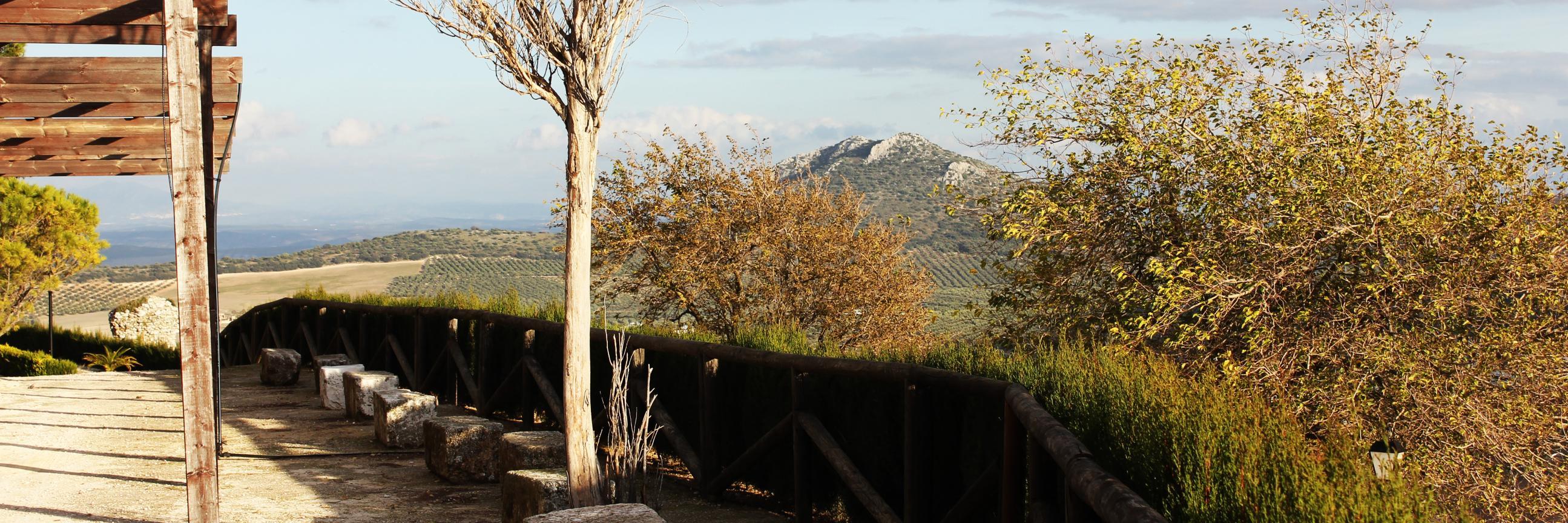 seminuni's profile banner image