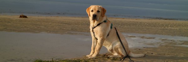 E_LTurner Profile Banner