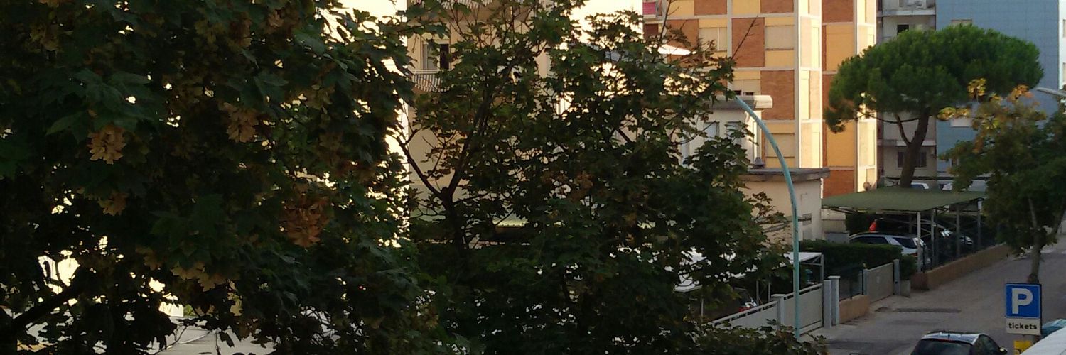 AlexVayda's profile banner image