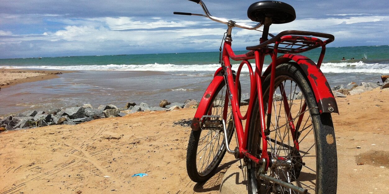 Fabienne BAROLLIER banner